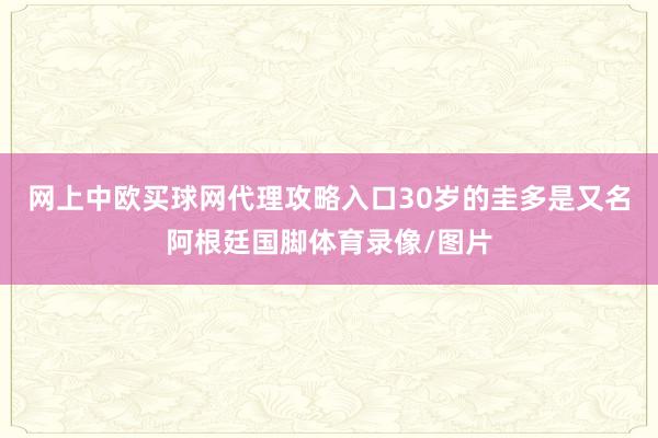 网上中欧买球网代理攻略入口30岁的圭多是又名阿根廷国脚体育录像/图片