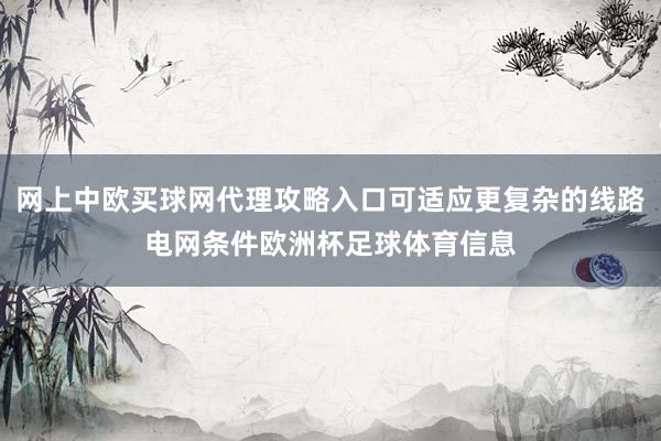 网上中欧买球网代理攻略入口可适应更复杂的线路电网条件欧洲杯足球体育信息