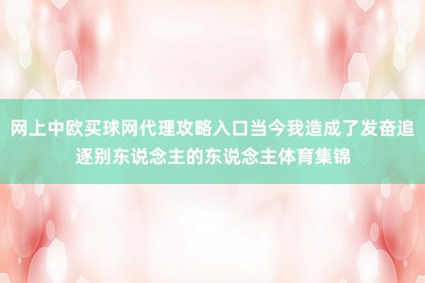 网上中欧买球网代理攻略入口当今我造成了发奋追逐别东说念主的东说念主体育集锦