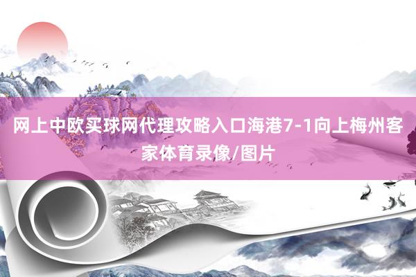 网上中欧买球网代理攻略入口海港7-1向上梅州客家体育录像/图片