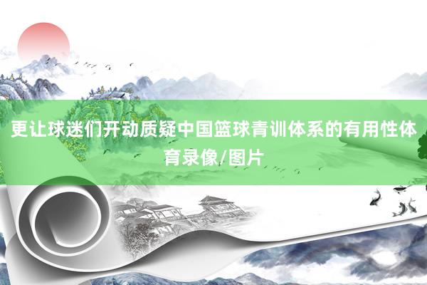 更让球迷们开动质疑中国篮球青训体系的有用性体育录像/图片